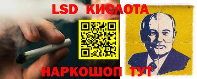гидра Бердск