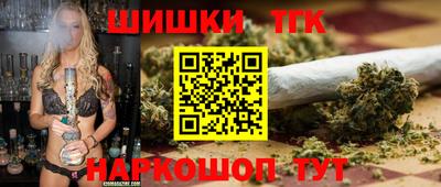 гидра Бердск
