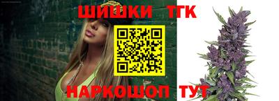 гидра Бердск