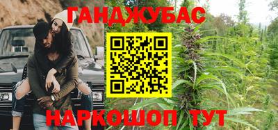 гидра Бердск