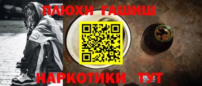 гидра Бердск