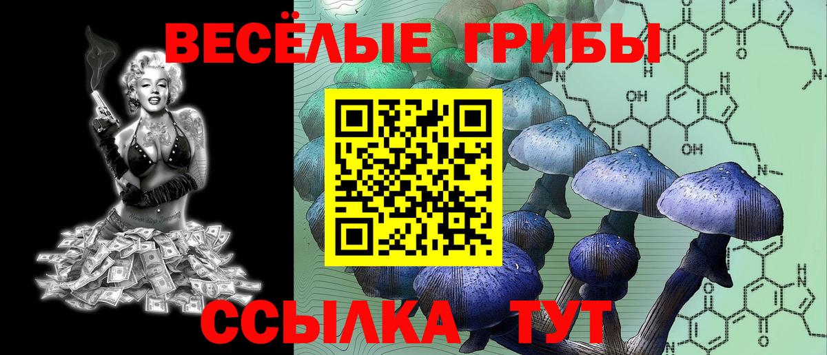 Псилоцибиновые грибы Psilocybe  что такое   Белогорск  Вход с VPN 